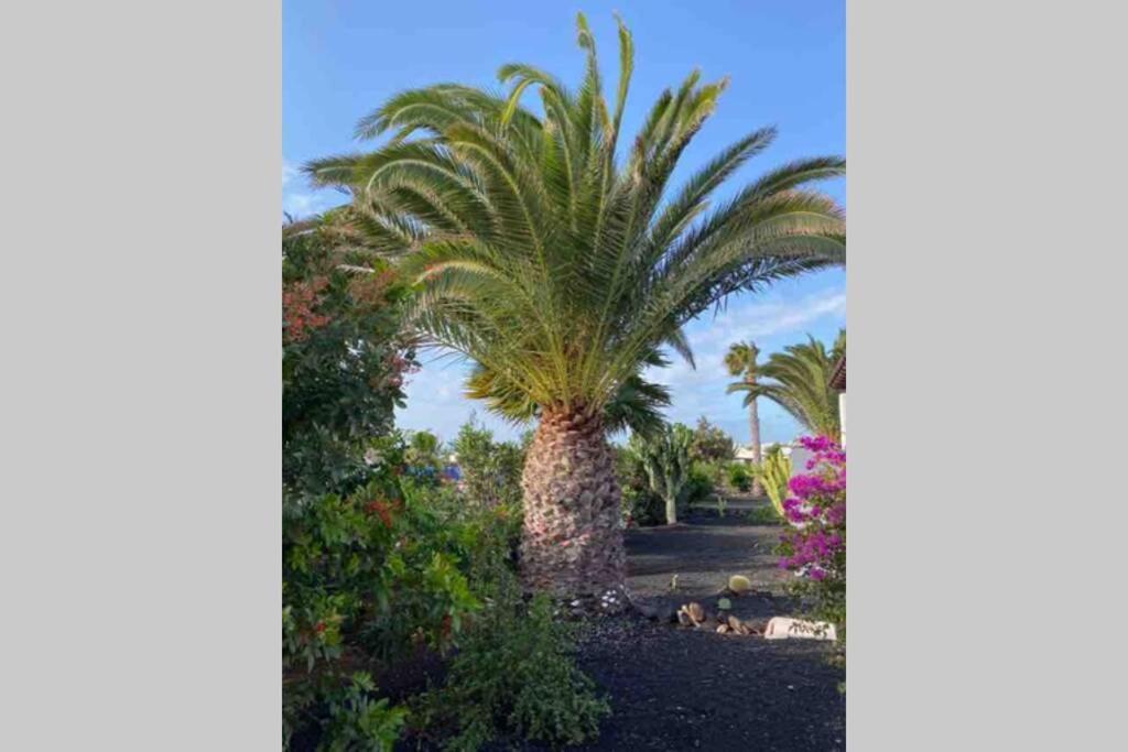 Villa Isa Sea Views Playa Blanca Dış mekan fotoğraf